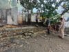 Kebakaran Bungalow di Pelangan Sekotong, Kerugian Capai Rp 500 Juta