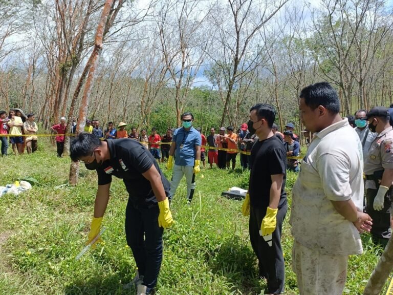 Penemuan Dua Sosok Mayat di Area Perkebunan Karet di Lebak, Polisi Lakukan Olah TKP