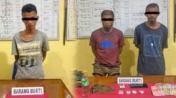 Polisi Berhasil Mengungkap Jaringan Narkoba di Pessel: Tiga Tersangka Ditangkap beserta Barang Bukti