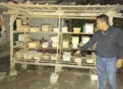 Polisi Ringkus Komplotan Pencuri Madu Trigona di Lombok Barat, 12 Kotak Koloni Lebah Diamankan