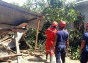 Angin Kencang di Kayangan: Pohon Tumbang Lukai Warga Lansia