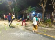 Respons Cepat! Pohon Tumbang di Jalan Raya Senggigi Berhasil Dievakuasi