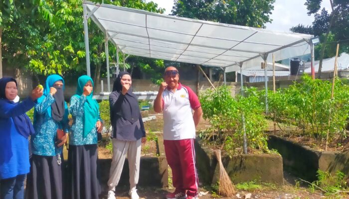 Lahan Bergizi Dusun Lembahsari, Solusi Pangan Mandiri!