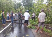 Pohon Tumbang dan Cuaca Ekstrem, Polsek Gerung Tanggap Hadapi Bahaya!