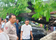 Kapolsek Manggelewa Pimpin Evakuasi Mobil Pajero yang Tertimpa Pohon Tumbang di Tengah Hujan Deras