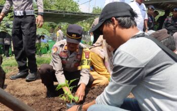 Polres Dompu dan Polsek Laksanakan Launching Ketahanan Pangan di Kabupaten Dompu