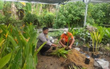 Ketahanan Pangan, Polsek Kediri Edukasi Warga Tanam Sayuran di Rumah