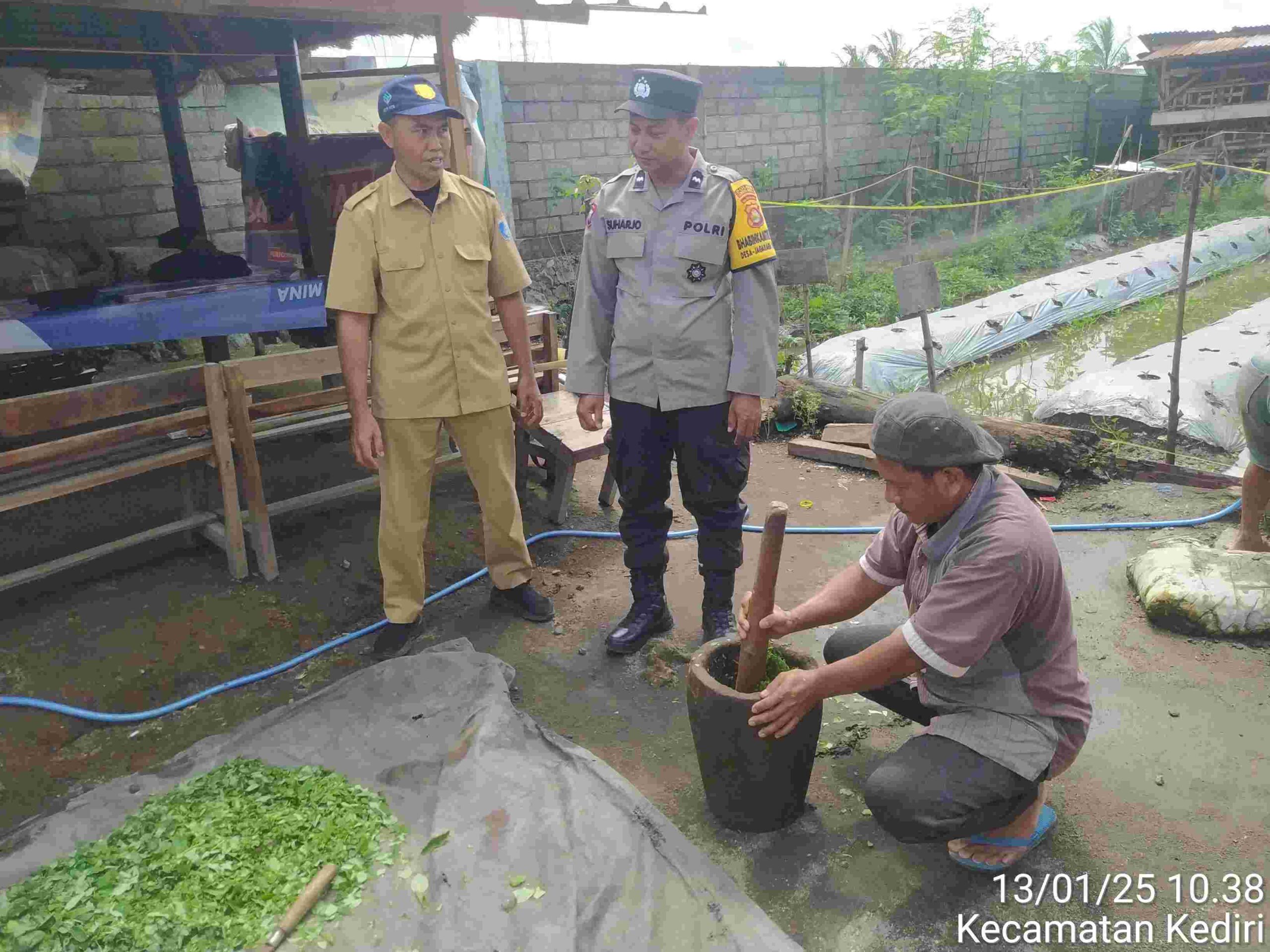 Pestisida Alami, Solusi Hemat dan Sehat untuk Petani Kediri