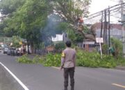 Sinergi Cegah Petaka: Polisi dan Warga Batulayar Amankan Jalan Senggigi