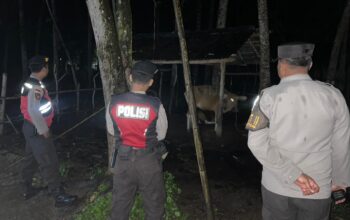 Sinergi Polisi-Warga Sekotong: Jaga Kamtibmas Lewat Patroli Malam