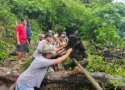 Bhabinkamtibmas Desa Sekongkang Atas Laksanakan Gotong Royong Perbaikan Saluran Irigasi yang Jebol