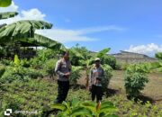 Bhabinkamtibmas Desa Hu’u Laksanakan Pemantauan Lahan Pertanian Warga untuk Mendukung Ketahanan Pangan Nasional