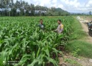 Sinergi Polri dan Masyarakat dalam Pengelolaan Lahan Pertanian Menuju Ketahanan Pangan