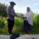 Polsek Labuapi Salurkan Bibit Jagung Manis untuk Dukung Ketahanan Pangan Desa