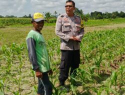 Bhabinkamtibmas Telagawaru Ajak Petani Wujudkan Swasembada Pangan Keluarga