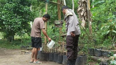 Polsek Batulayar Dorong Kemandirian Pangan Lewat Program Pekarangan di Dusun Orong