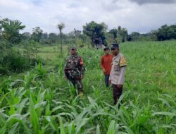 Bhabinkamtibmas Montong Are Dukung Petani Tingkatkan Ketahanan Pangan