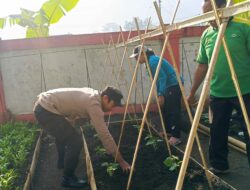 Polsek Kuripan Dorong Kemandirian Pangan Warga Desa Kuripan Utara