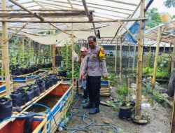 Warga Dusun Tempit Diajak Tanam Sayur di Pekarangan, Dukung Ketahanan Pangan Nasional