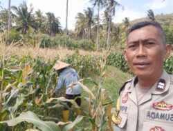 Bhabinkamtibmas Desa Batu Putih Dorong Petani Tibu Baru Optimalkan Lahan Produktif