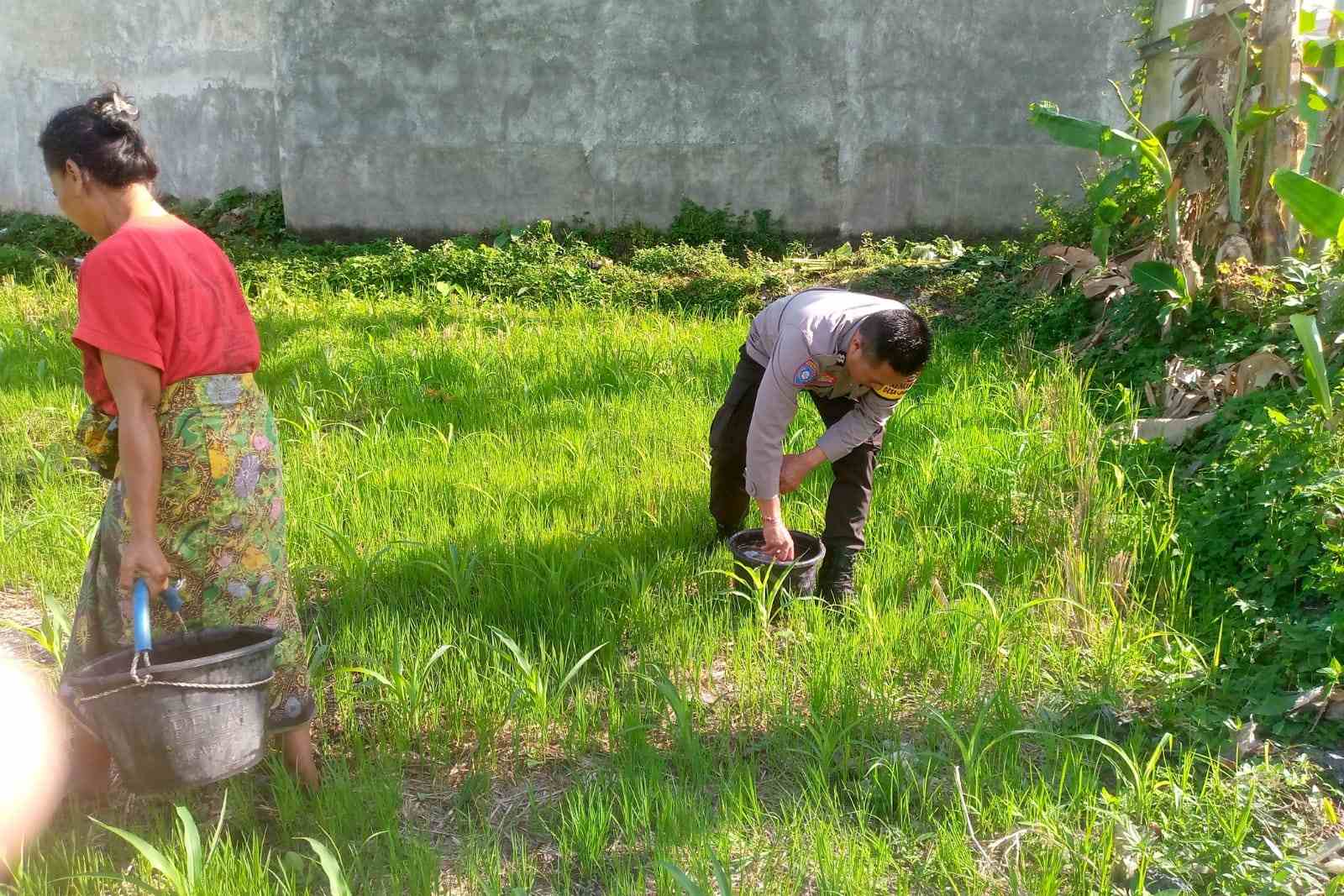 Polri di Lombok Barat Gencarkan Pemanfaatan Lahan Tidur untuk Ketahanan Pangan