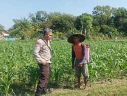 Bhabinkamtibmas Desa Sandik Ajak Warga Dusun Tato Barat Wujudkan Swasembada Pangan