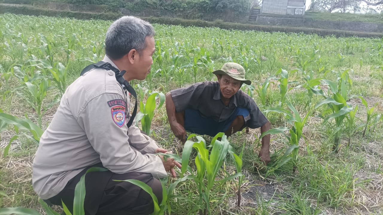 Dorong Ketahanan Pangan, Bhabinkamtibmas Desa Sandik Ajak Warga Manfaatkan Pekarangan