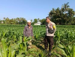 Bhabinkamtibmas Sandik Ajak Warga Perempung Manfaatkan Lahan untuk Swasembada Pangan