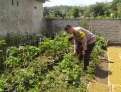 Bhabinkamtibmas Sekotong Tengah Dorong Warga Manfaatkan Pekarangan untuk Ketahanan Pangan