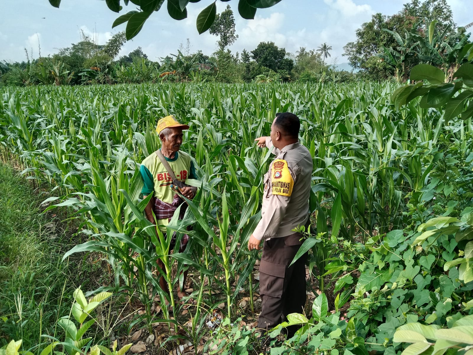 Menjaga Ketahanan Pangan, Bhabinkamtibmas Labuapi Ajak Warga Manfaatkan Lahan Kosong