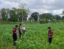 Polres Lombok Barat Dampingi Petani Gerung Utara Wujudkan Swasembada Pangan