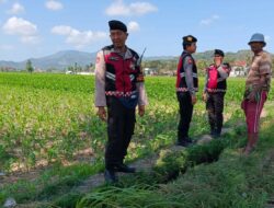 Polres Lombok Barat Pantau Ketahanan Pangan di Desa Tempos