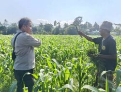 Bhabinkamtibmas Desa Sandik Dorong Warga Perkuat Swasembada Pangan