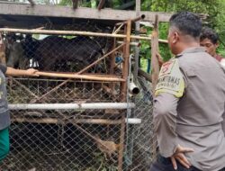 Bhabinkamtibmas Senggigi Dorong Warga Krandangan Manfaatkan Lahan Kosong untuk Ketahanan Pangan