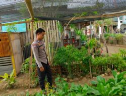 Dukung Program Asta Cita, Bhabinkamtibmas Desa Bangkat Monteh Dampingi Warga Kelola Pekarangan Bergizi