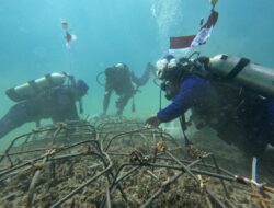 Bersih Pantai hingga penanaman terumbu karang di Dasar Laut, Cara Unik Polairud NTB Rayakan Kemerdekaan