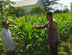 Bhabinkamtibmas Telagawaru Dorong Pemanfaatan Pekarangan untuk Ketahanan Pangan