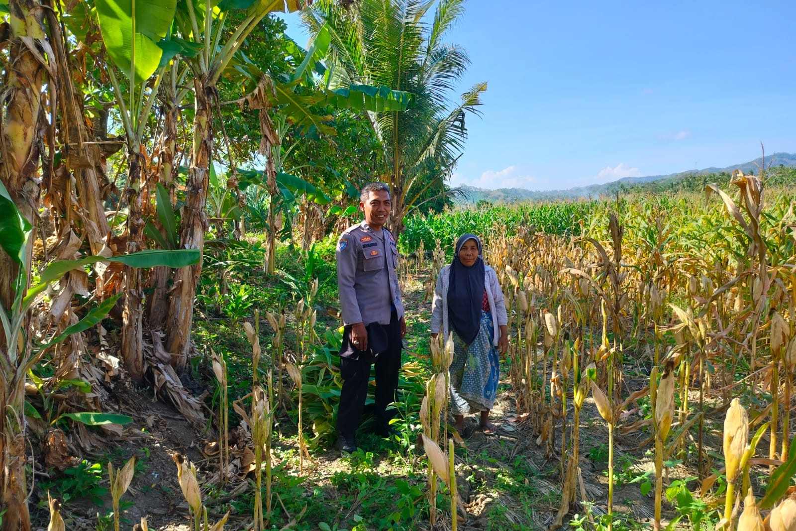 Kemitraan Strategis, Bhabinkamtibmas Lembar Dukung Petani Wujudkan Ketahanan Pangan