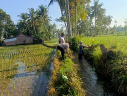 Bhabinkamtibmas Desa Jelantik Ajak Warga Gotong Royong Saluran Irigasi dan Jaga Kamtibmas