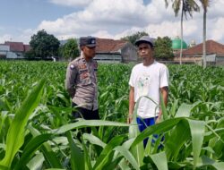 Polres Lombok Barat Dorong Kemandirian Pangan dari Pekarangan Warga Kuripan