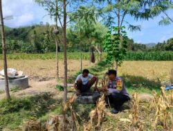 Bhabinkamtibmas Eyat Mayang Dukung Petani Jagung, Perkuat Ketahanan Pangan di Lembar