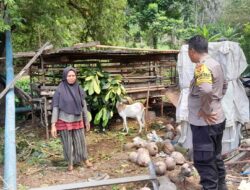 Polsek Batulayar Dorong Ketahanan Pangan Melalui Pemanfaatan Pekarangan di Dusun Krandangan