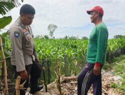 Sinergi Polsek Kediri dan Petani Banyumulek Perkuat Program Ketahanan Pangan