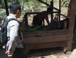 Polsek Batulayar Ajak Warga Batulayar Barat Manfaatkan Lahan Kosong untuk Ketahanan Pangan