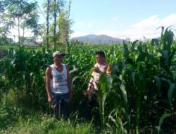 Polsek Kuripan Ajak Warga Desa Jagaraga Kembangkan Pertanian Produktif