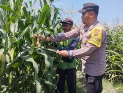 Sinergi Polri dan Petani Wujudkan Ketahanan Pangan Menuju Indonesia Emas 2045
