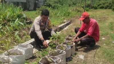 Sinergi Polsek Labuapi dan Warga Mapak Reong Dorong Pemanfaatan Pekarangan Produktif