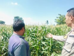 Polsek Labuapi Dorong Warga Desa Labuapi Manfaatkan Lahan Kosong untuk Ketahanan Pangan