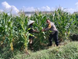 Ketahanan Pangan di Labuapi: Polisi Ajak Warga Manfaatkan Lahan Kosong