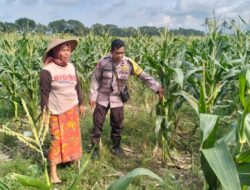 Polsek Labuapi Dorong Kemandirian Pangan Warga Karang Kebon